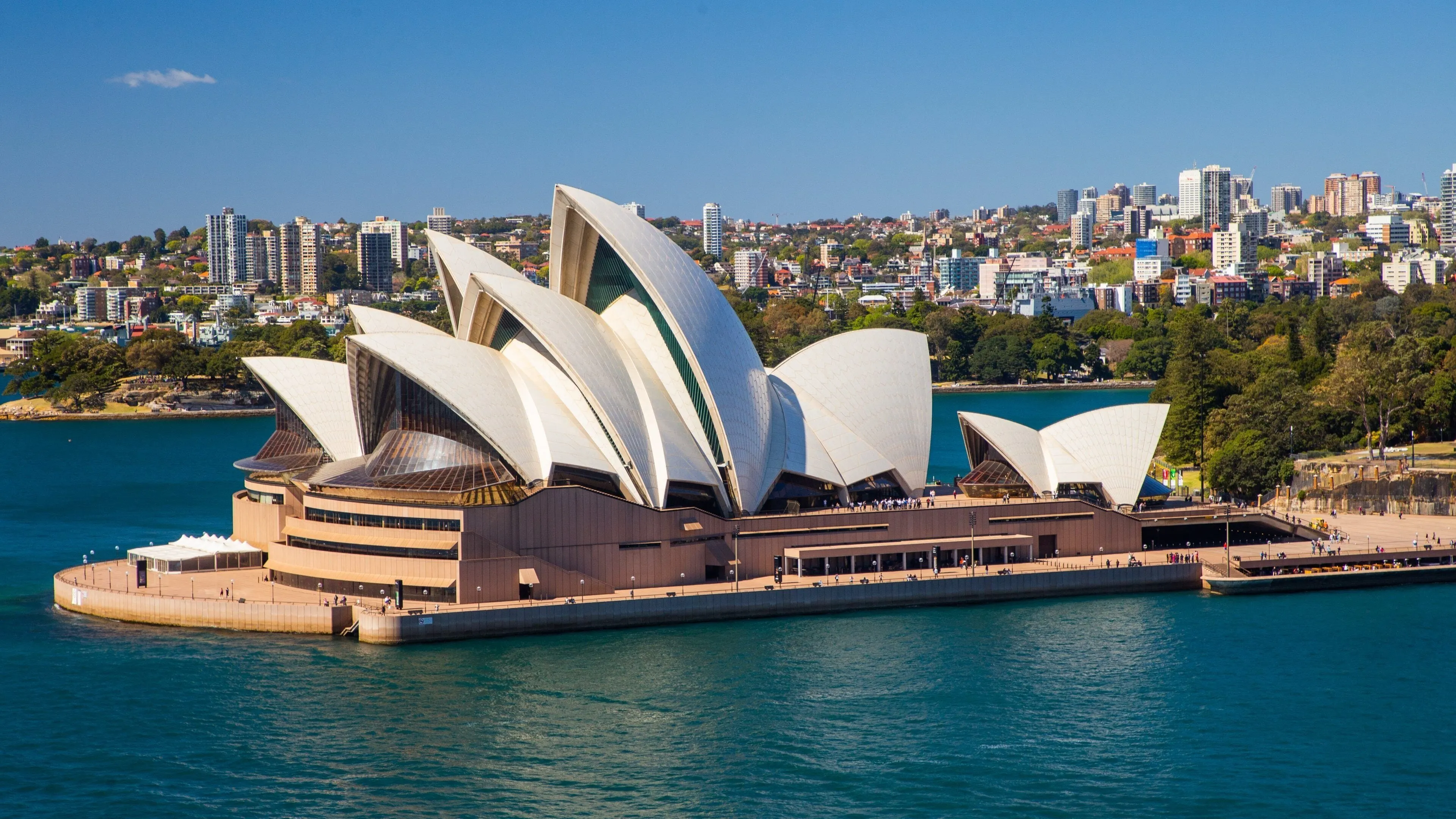 Website designing company in Sydney - new builds, redesigns, support and maintenance from one local team